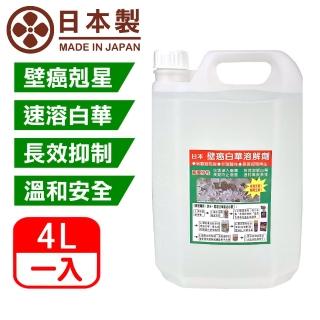 【十田修繕】日本壁癌白華溶解劑 4L(壁癌 白華 乳膠漆 批土 油漆 防黴 除黴)