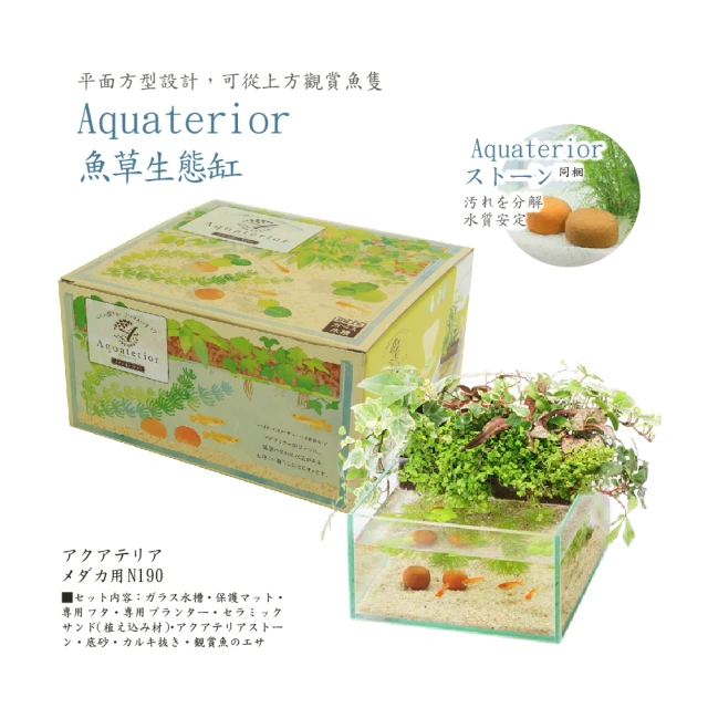 【Suisaku 水作】魚草生態缸