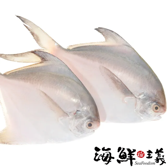 【海鮮主義】年節必備白鯧魚(2入/組-每尾500g)