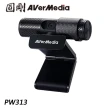 【圓剛】PW313 Live Streamer CAM 1080P 網路視訊攝影機