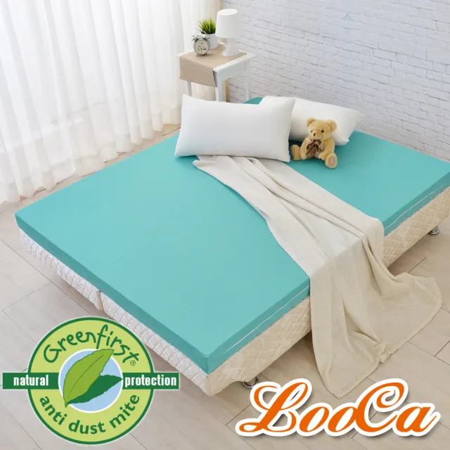 【LooCa】送枕x2-頂級12cm防蚊+防蹣+超透氣記憶床墊(雙人5尺)