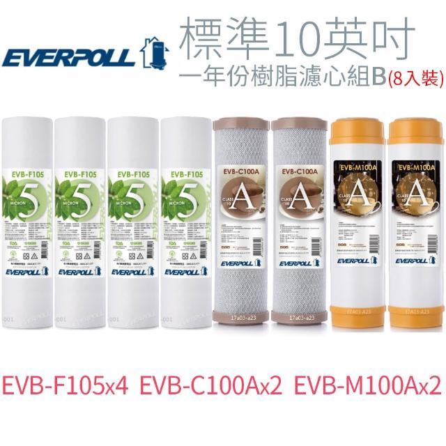 【EVERPOLL】標準10英吋 一年份樹脂濾心組B(8入)