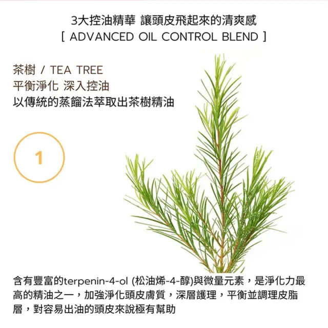 【Moonlight 莯光】進化版茶樹控油淨化洗髮精 400 ml(清爽UP 髮絲不再黏頭皮)