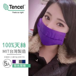 臺灣製造100%天絲可水洗口罩保護布套(5入/顏色隨機/口罩收納)