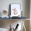 【菠蘿選畫所】盪鞦韆的兔子-30x40cm(餐廳掛畫/臥房/客廳/浴室/居家展示/商空/水果)