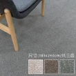 【范登伯格】潮流 雙色紗素面地毯(183x240cm/共三色)