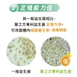 【台塑生醫】SET-優舒敏益生菌複方膠囊(60粒/瓶)