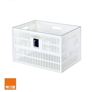 【特力屋】總理萬用籃 深型 特大 23L DT-38(收納籃)