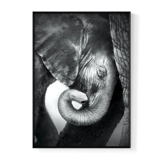 【菠蘿選畫所】依偎 – 大象-30x40cm(餐廳佈置/畫/動物/相框/走廊/民宿/客廳掛畫/抽象畫作)