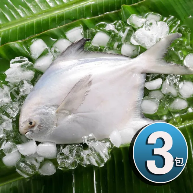 【華得水產】鮮嫩野生白鯧魚3件組(330-380G/尾 春節照常出貨)