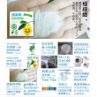 【清淨海】檸檬系列環保洗衣粉 1.5kg(超值3入組)