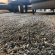 【山德力】匹茲堡地毯 - 星雲灰 160x230cm(地毯 白 灰 閃耀 客廳 溫暖 生活美學)
