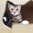 【Petique 百嬌客】貓的碉堡(貓屋 貓抓板)