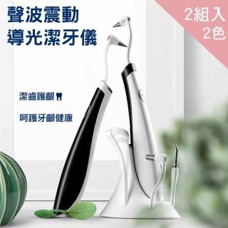 【CS22】VIBRATION 高效多功能電動潔牙沖牙器(2組入-潔牙器)