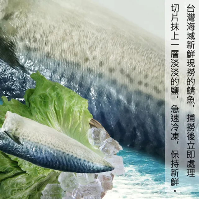 【賣魚的家】台灣本土薄鹽鯖魚片 10包組(220g±9g/2片/包/共20片)