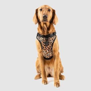 【CANADA POOCH】安全第一胸背帶-M(胸背帶/寵物配件/Everything Harness M)