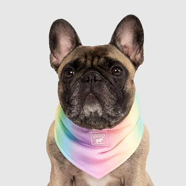 【CANADA POOCH】涼感領巾-彩虹(寵物配件-CANADA POOCH-Chill Seeker Bandana Rainbow)