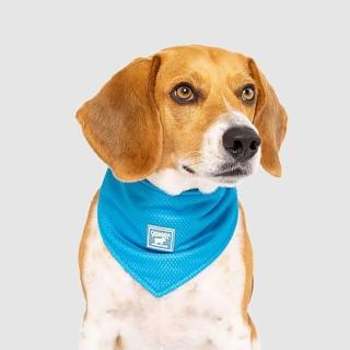 【CANADA POOCH】涼感領巾-藍色(寵物配件-CANADA POOCH-Chill Seeker Bandana Blue)