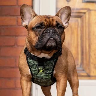 【CANADA POOCH】安全第一胸背帶-S(胸背帶/寵物配件/Everything Harness S)