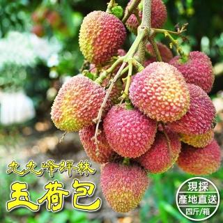 【臺灣紅】南投九九峰坪林玉荷包4斤x1箱(4斤±10%/盒 頂級 完熟手摘 銷日等級)