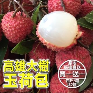 【臺灣紅】高雄大樹玉荷包4斤x2盒(4斤±10%/箱 完熟手摘 銷日等級 超小籽)