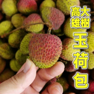 【台灣紅】高雄大樹玉荷包4斤x1箱(4斤±10%/盒_超小籽_完熟手摘_銷日等級)