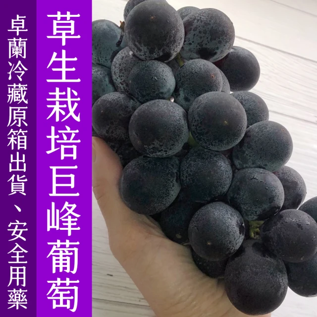 皮果家 台灣產 巨峰葡萄1.6公斤/箱(約5-9包) 推薦