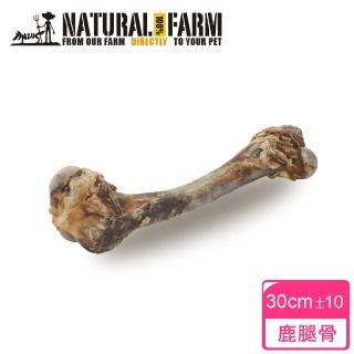 【Natural Farm 自然牧場】紐西蘭天然鹿腿骨(點心 零食 潔牙 挑嘴)