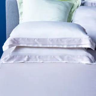 【HOLA】雅緻天絲素色歐式枕套2入米白