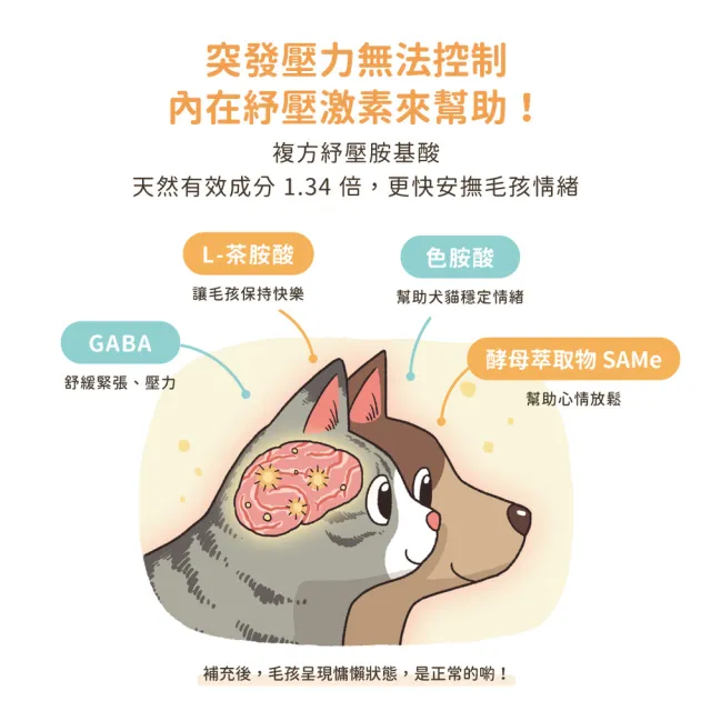 【汪喵星球】汪喵紓壓胺基酸 2gX20包(犬貓保健)