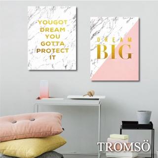 【TROMSO】時尚無框畫/金采大理石(無框畫掛畫掛飾)