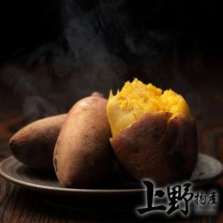 【上野物產】選用台農57號 冰烤地瓜15包(500g±10%/包 地瓜 番薯 甜點 素食)