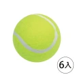 【SUCCESS 成功】4311一般練習網球(6入1包)