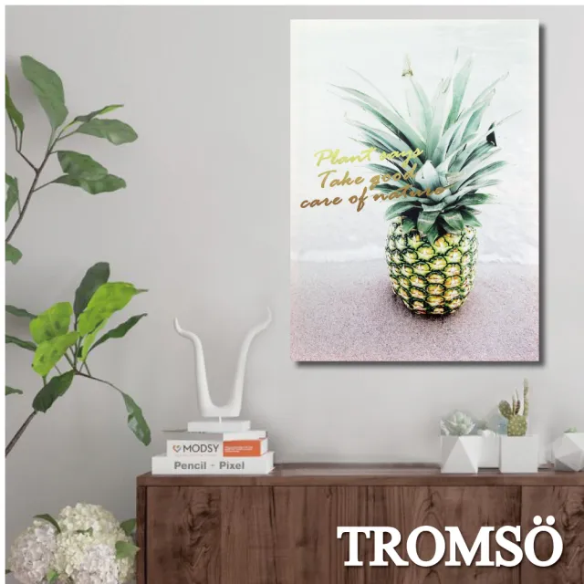 【TROMSO】時尚無框畫/北歐菠蘿(無框畫掛畫掛飾)