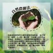 【名池茶業】頂級嫩摘高山烏龍春茶葉150gx8包(共2斤)