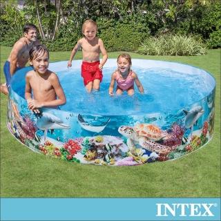 【INTEX】免充氣幼童戲水游泳池244x46cm 2040L 適用3歲+(58472)