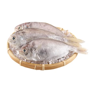 【愛上海鮮】鮮凍野生肉魚8包組(180g±10%/包/兩尾一包)