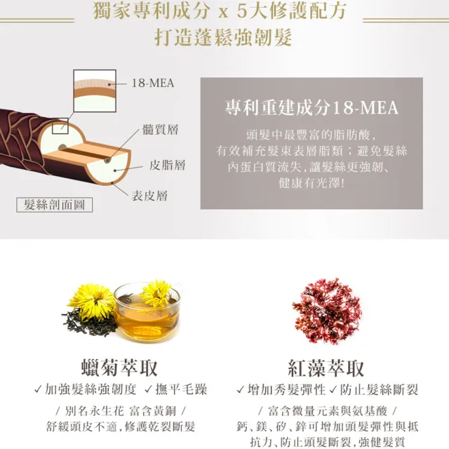 【MISSDAISY】香氛洗髮精 500mL(秀髮強韌蓬鬆、保濕有光澤)