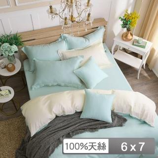 【HongYew 鴻宇】60支100%天絲 兩用被套-最好的裡爾克(雙人)