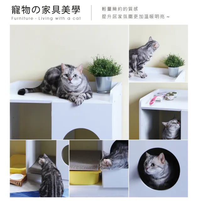 【RICHOME】凱特寵物櫃/收納櫃/展示櫃/寵物傢俱/貓窩(多功能用途)