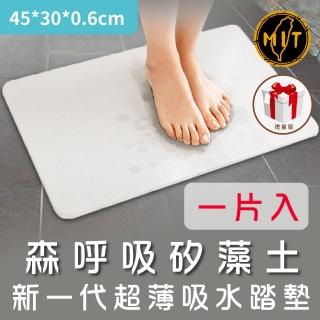 【森呼吸矽藻土】新一代超薄吸水踏墊-礦灰-精緻版
