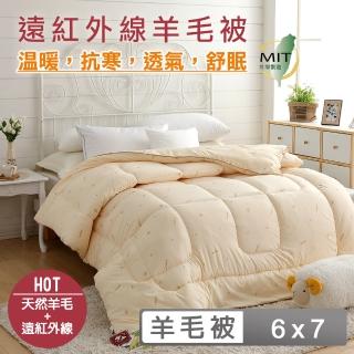 【HongYew 鴻宇】安格利亞發熱羊毛被(雙人 冬被 棉被)