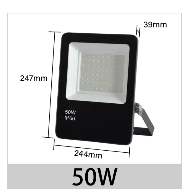 青禾坊 歐奇OC 50W LED 戶外防水投光燈 投射燈-2入(超薄 IP66投射燈 CNS認證)