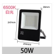 【青禾坊】歐奇OC 50W LED 戶外防水投光燈 投射燈-2入(超薄 IP66投射燈 CNS認證)