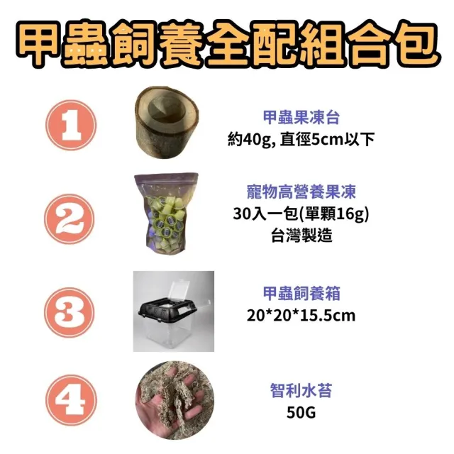 【Petvibe寵趣生活】甲蟲獨角仙飼養箱大全配30入果凍套組(甲蟲果凍/高蛋白果凍/寵物果凍/甲蟲/獨角仙)