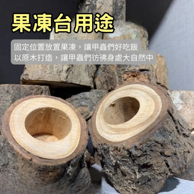 【Petvibe寵趣生活】甲蟲獨角仙飼養箱大全配30入果凍套組(甲蟲果凍/高蛋白果凍/寵物果凍/甲蟲/獨角仙)