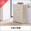 【麗得傢居】艾達2尺鞋櫃(台灣製造)