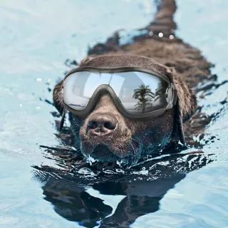 【古德斯】狗狗用品防水防風防紫外線護目鏡