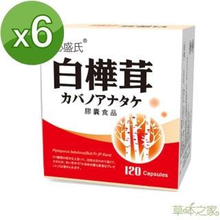 【草本之家】白樺茸子實體膠囊6入組(120粒/入白樺菌菇)