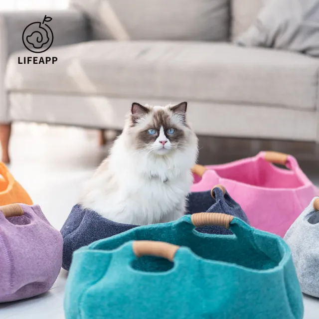 【LIFEAPP 徠芙寶】貓籃子(喵星人必備精選6色)